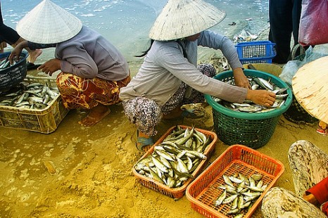 Tour tham quan Mũi Né Nửa Ngày - Ngắm hoàng hôn trên đồi cát bay